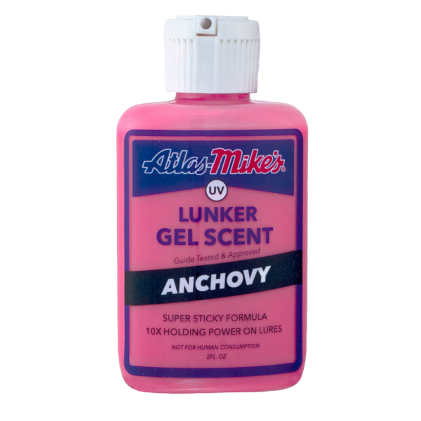 UV 런커 젤 멸치 (앤쵸비 Anchovy)